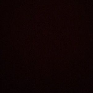 Meet your Posher, Darius